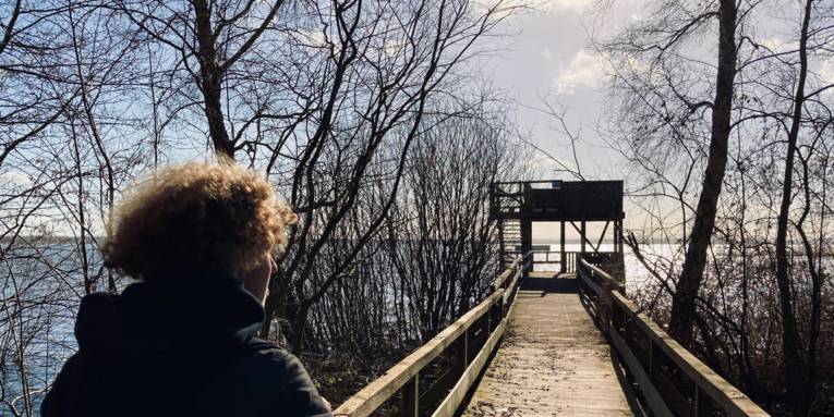 Eine Person geht auf einem Holzsteg zum Aussichtsturm am Steinhuder Meer